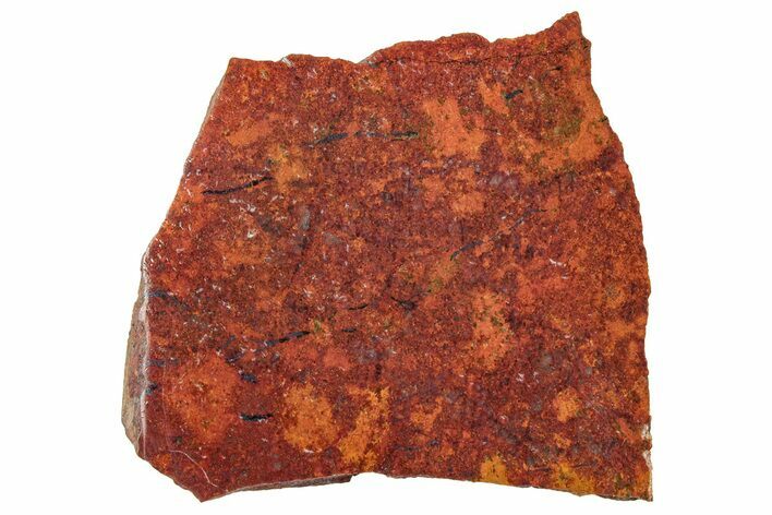 Vibrant Sonora Sunset (Chrysocolla Cuprite) Slab - Mexico #323907